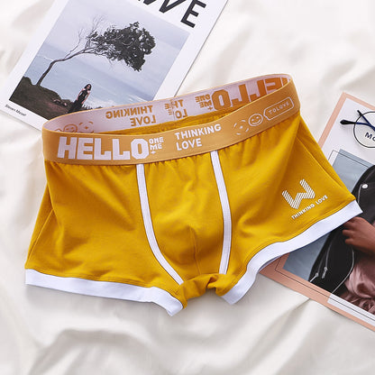 Levoire | Boîte 6-pack Jaune + 2 Gratuit