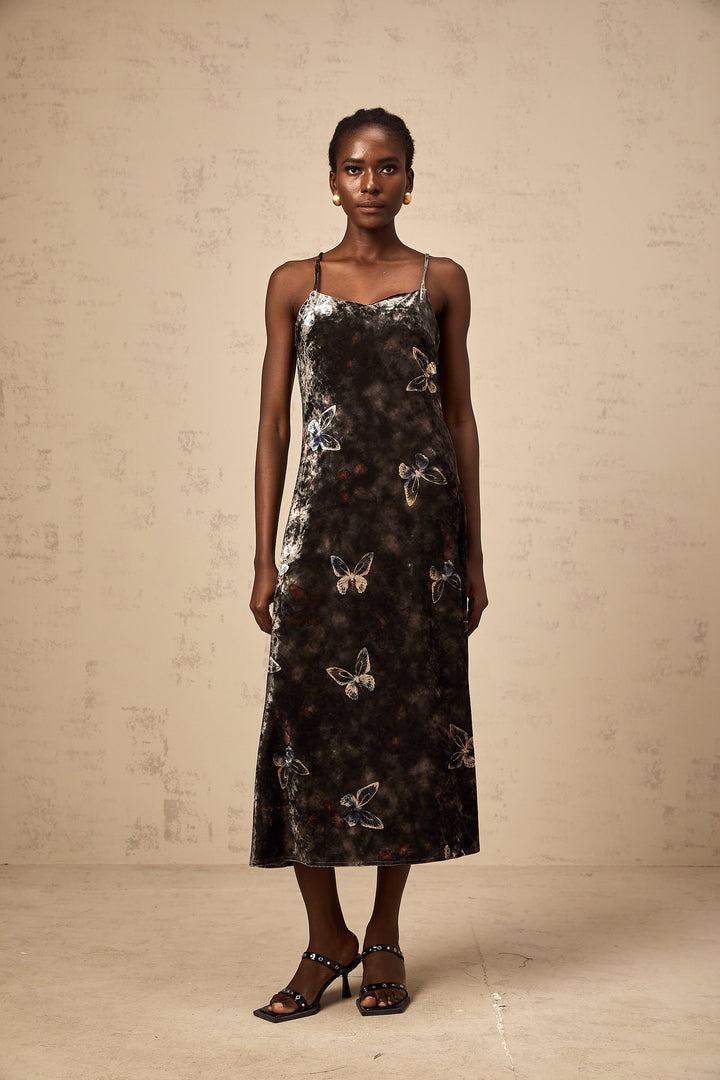 Levoire | Robe Midi En Velours À Imprimé Papillon Noir