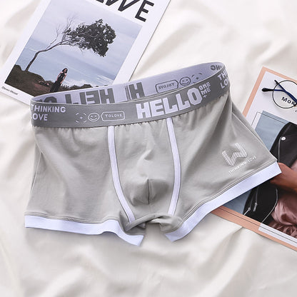 Levoire | Boîte 6-pack gris + 2 libres