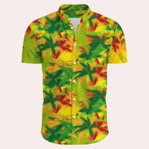 Levoire | Chemise Hawaii Avec Boutons Pour Hommes