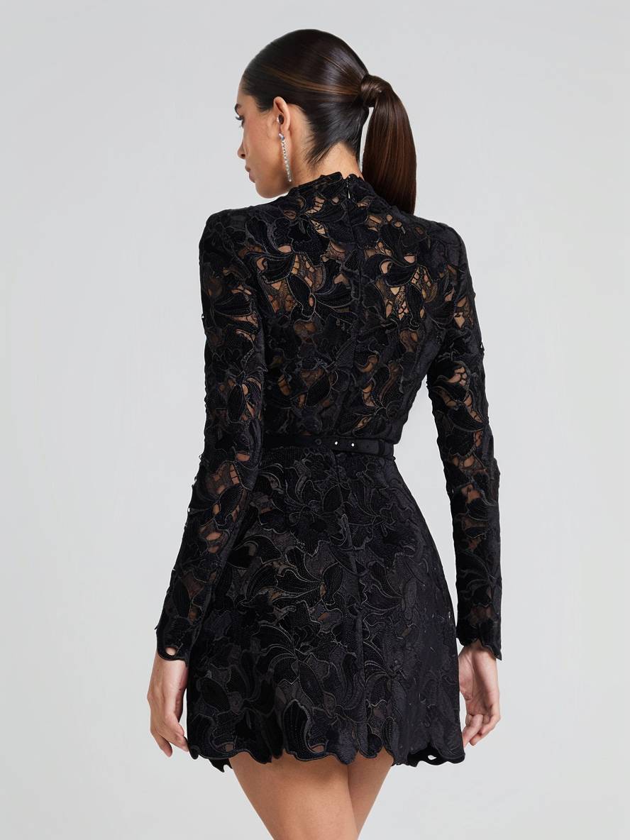 Levoire | Petite Robe En A En Dentelle Avec Broderie Anglaise, Col Rond, Manches Longues, Élégante Robe De Soirée Cocktail Pour Femmes