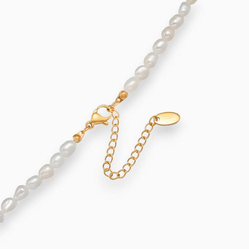 Levoire | Collier De Cou Élégant