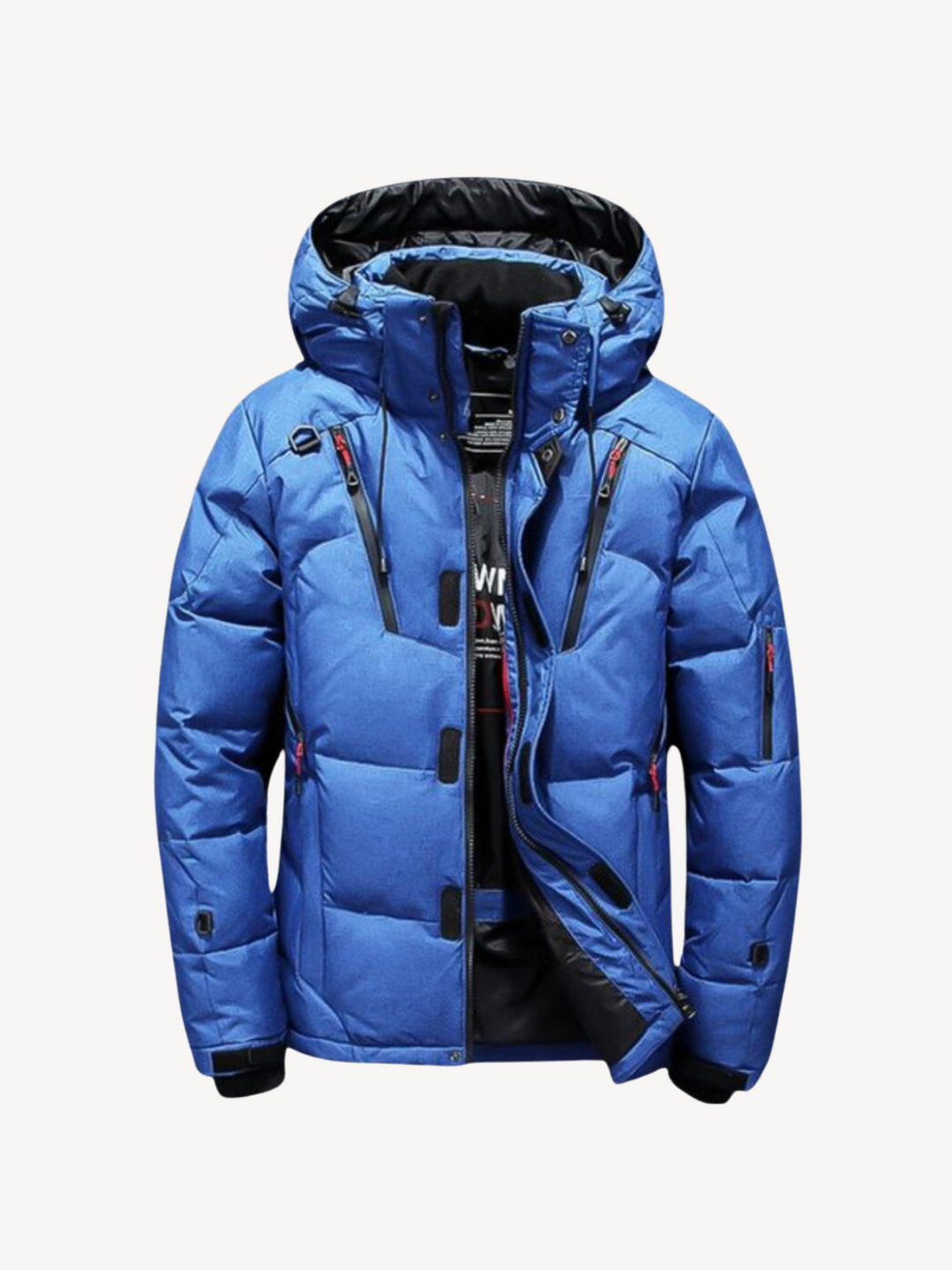 Levoire | Veste Épaisse Bleu