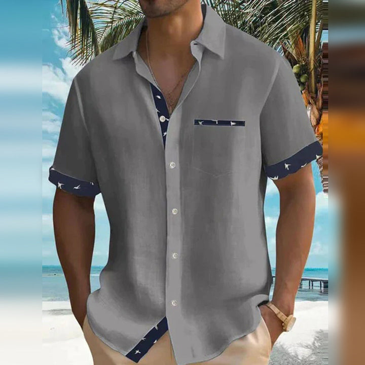 Levoire | Chemise Classique Pour Homme Gris