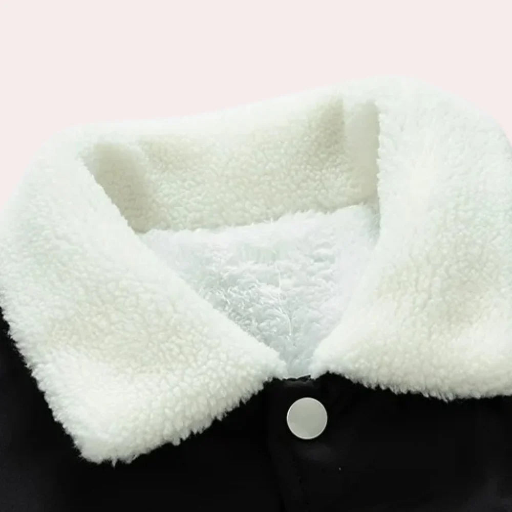 Levoire | Veste À La Mode Pour Homme
