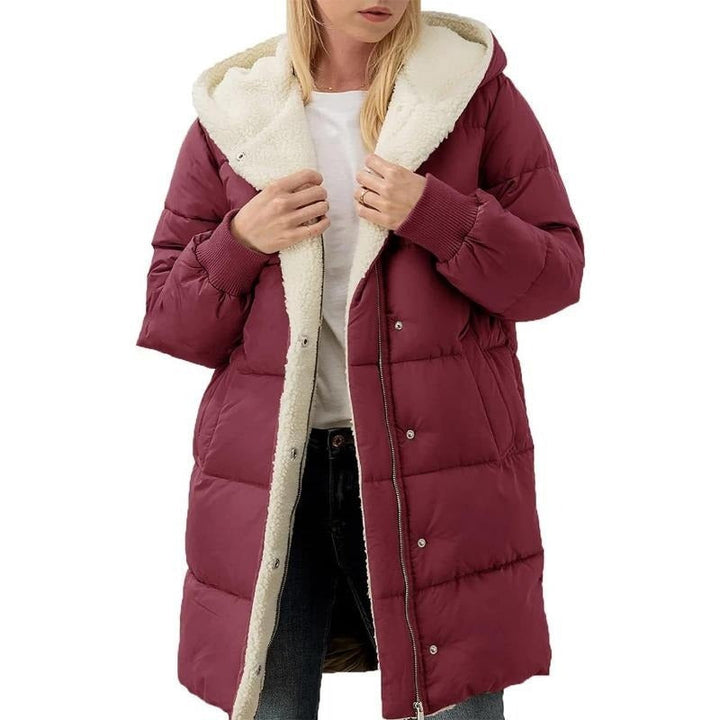 Levoire | Veste en velours en coton Bordeaux