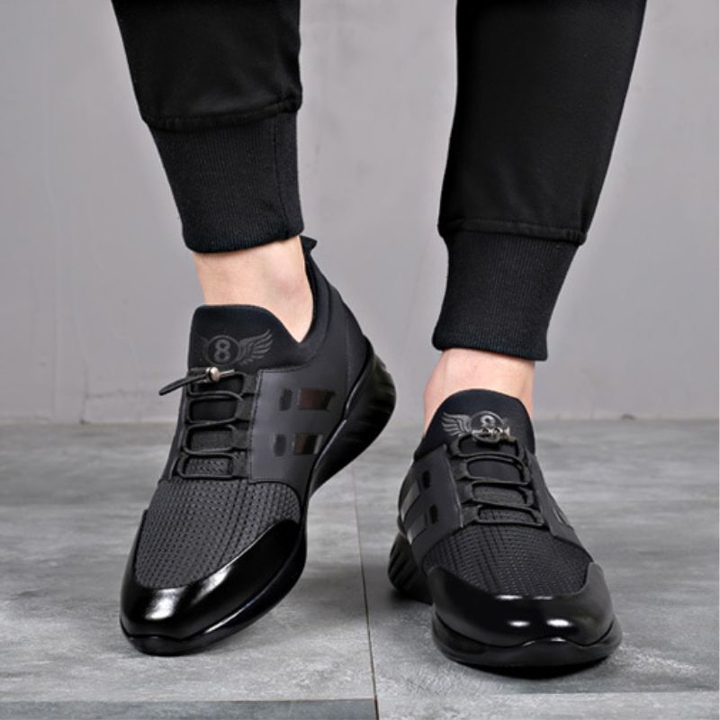 Levoire | Sneakers Panther Pour Hommes