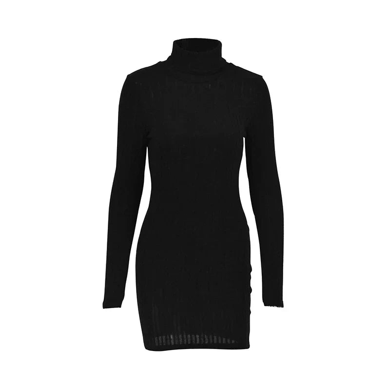 Levoire | Robe Moulante En Maille À Col Roulé