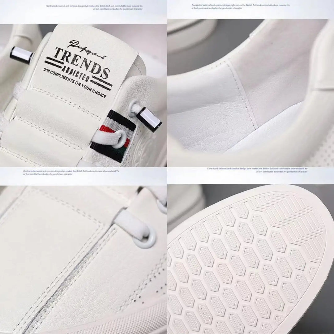Levoire | Édition Limitée Chaussures De Loisirs Empire Coin