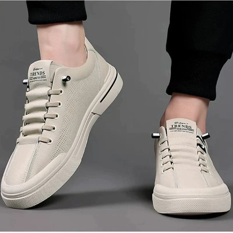 Levoire | Édition Limitée Chaussures De Loisirs Empire Coin