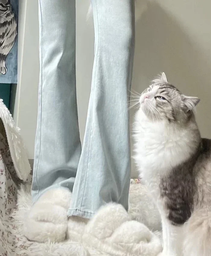 Levoire | Pantalon Évasé Étroit Taille Haute