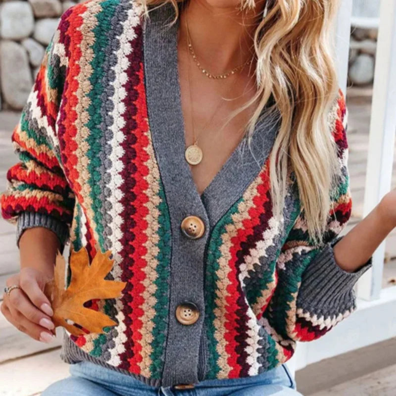 Levoire | Cardigan Rétro Multicolore
