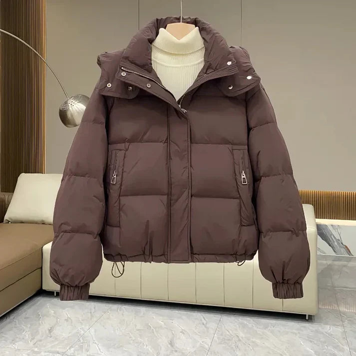 Levoire | Manteau Au Design Classique Café