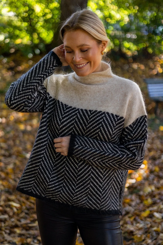 Levoire | Doux Pull en  à Col Montant