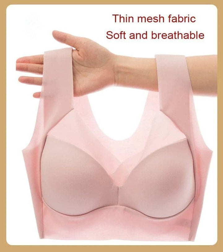 Levoire | Up-Bh Sans Armature