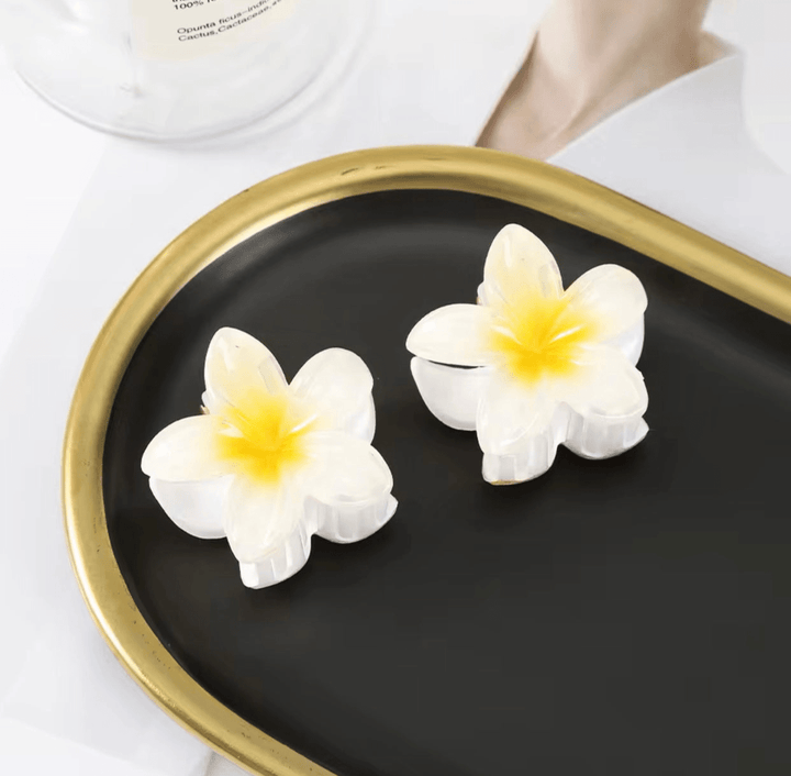 Levoire | Clips à cheveux fleuris tendance Blanc (Petit 2X)