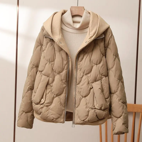 Levoire | Sweat-shirts à capuche zippés à manches longues avec poches