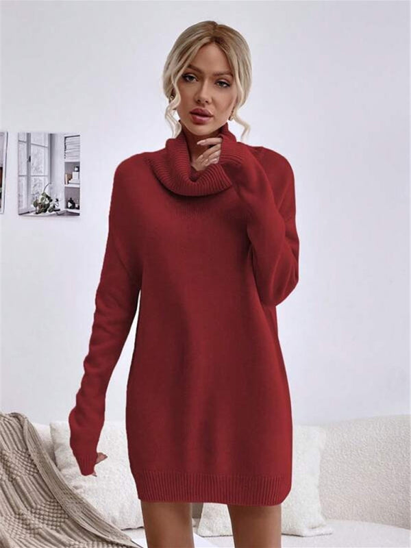 Levoire | Pull À Col Roulé En Tricot Coupe Longue