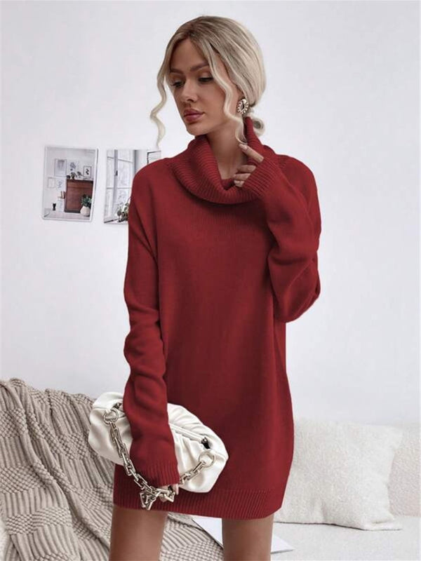 Levoire | Pull À Col Roulé En Tricot Coupe Longue