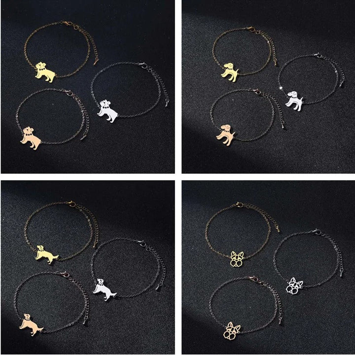 Levoire | Collier De Chien Attrayant