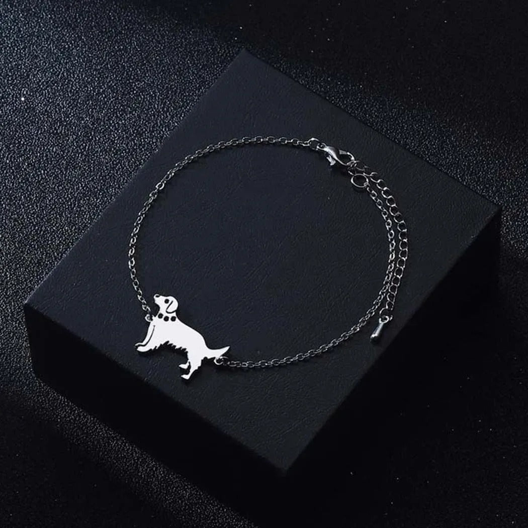 Levoire | Collier De Chien Attrayant
