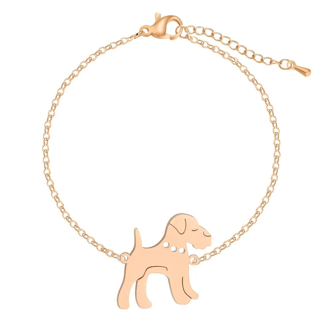 Levoire | Collier De Chien Attrayant Rosa
