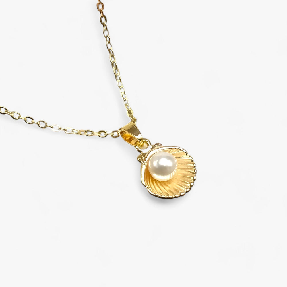 Levoire | Chaîne De Coquillages Gold Coquillage