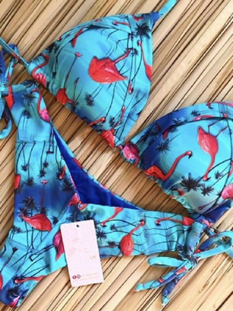 Levoire | Ensemble De Bikinis Avec Push-Up Pour Un Look De Plage Parfait